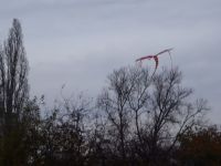 PB050042.JPG