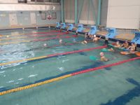 PB130032.JPG