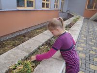 P9150012.JPG