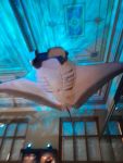 IMG-20221019-WA0008.jpg
