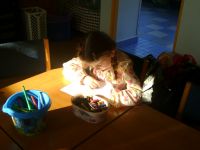 DSC09068.JPG