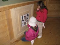 IMG_4751.JPG