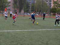 P6258291.jpg
