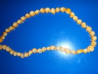 PC030013.JPG