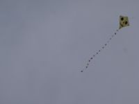 PB050036.JPG