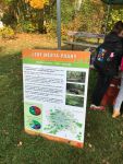 IMG-20171018-WA0007.jpg