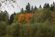 HS080005.jpg