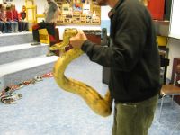 IMG_1591.JPG