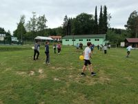 IMG_20240516_121011.jpg