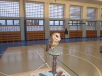 PC020034.JPG