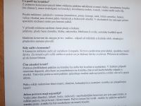 P1291919.JPG