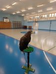 IMG_20231114_101752.jpg