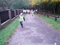 IMG_20131011_094208.jpg