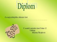 diplom3.jpg
