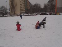 P1060042.JPG