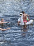 IMG-2185.jpg