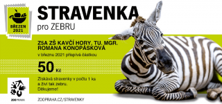 Zebra.png