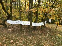 IMG-20171018-WA0005.jpg