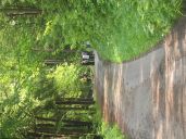 IMG_2391.jpg