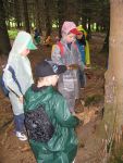 IMG_4546.JPG