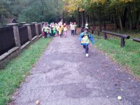 IMG_20131011_094520.jpg