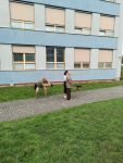IMG_20260916_104259.jpg