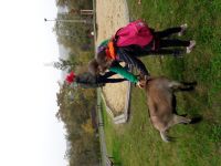 20171020_104448.jpg