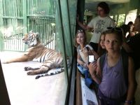 IMG_20140618_110736.jpg