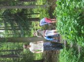 IMG_2395.jpg