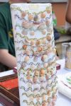 DSC_1587.JPG