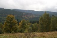 HS080012.jpg