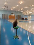 IMG_20231114_102706.jpg