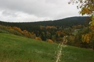 HS080009.jpg