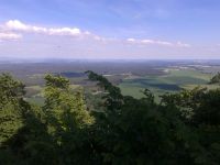 CameraZOOM-20140521155941546.jpg