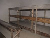 IMG_4273.JPG