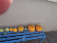 PA160389.JPG