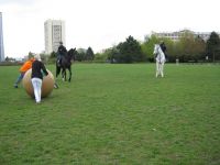 IMG_0920.JPG