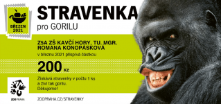 Gorila.png