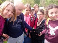 CameraZOOM-20160518150235583.jpg