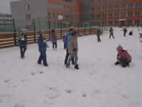 P1060025.JPG