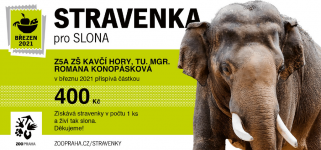 Slon.png