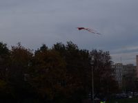 PB050022.JPG