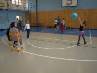 P6258355.jpg