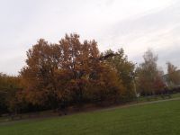 PB050032.JPG