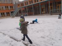 P1200019.JPG