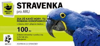Ara.png
