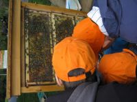 IMG_0974.JPG