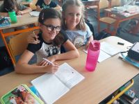 b1b4300c-dfbe-4360-b1da-c675d550ea64_001.jpeg