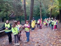 IMG_20131011_092835.jpg