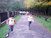 IMG_20131011_094153.jpg